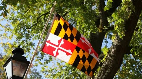 Maryland Flag Видео 8983199