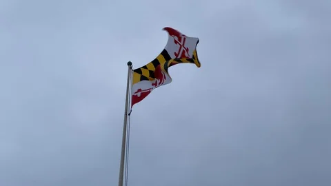 Maryland flag Stock Footage 129721640