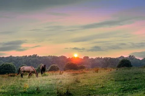 Maryland Pastures Foto stock