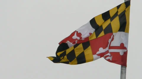 Maryland State flag 動画素材 36541789