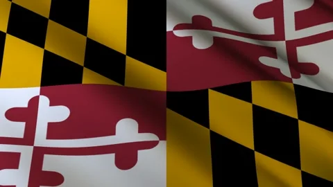 Maryland State Flag Stock Footage 276105040