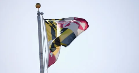 Maryland State Flag Stock Footage 284401050