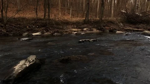 Maryland Stream in the Winter Stock Footage 109177082