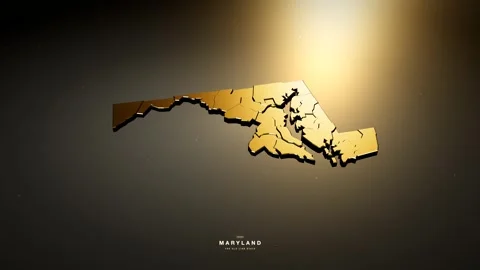 Maryland USA 3D state map in gold style Vídeos de archivo 341171994
