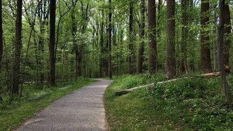 Maryland Walking Path Stock Footage 109177246