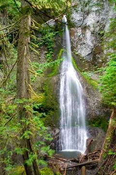 Marymere Falls Stock Photos