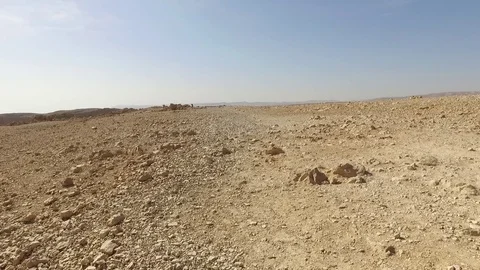 Masada Hike 4 Stock Footage 79428993