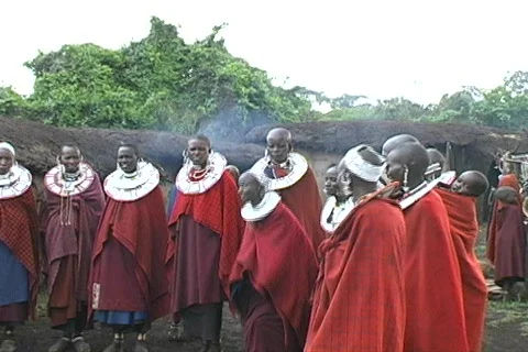 Masai Dancing Stock Footage 698542