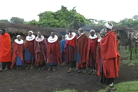 Masai Dancing Video stock 698844