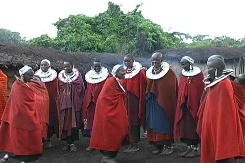 Masai Dancing Stock Footage 698889