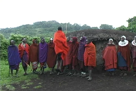Masai Dancing Stock Footage 698926