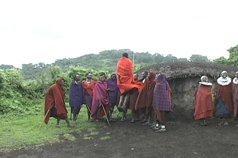 Masai Dancing Stock Footage 698949