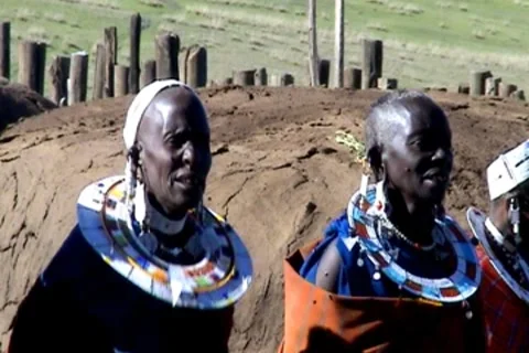 Masai 動画素材 8776701