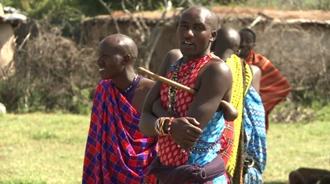 Masai men traditionally dressed Stock Footage 33687579