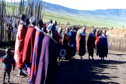 Masai Song 動画素材 8777022