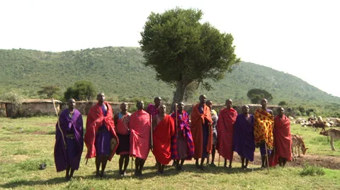 Masai traditional jumping dance Video stock 33687330
