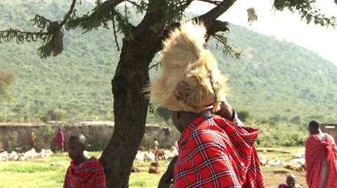 Masai warrior with lion hat Stock Footage 33687135