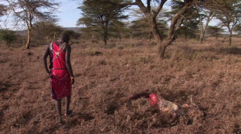 Masai warrior narrative Stock Footage 25193357