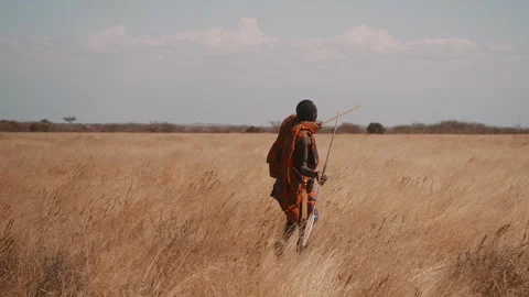 Masai Warrior Throwing Spear in African Savannah Stock Footage 308918052