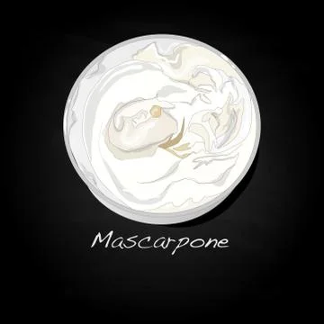 Mascarpone cheese vector Stock Illustration