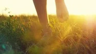 Masculine Feet Go Barefoot To The Soft Grass Through The Sun During Beautiful Stock Footage