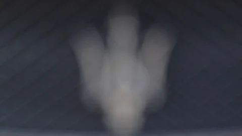 Maserati Logo Decal Stock Footage 79030736