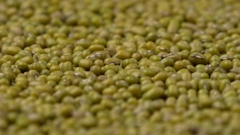 Mash groats, side view. Protein food concept. Stock-Footage 144685586