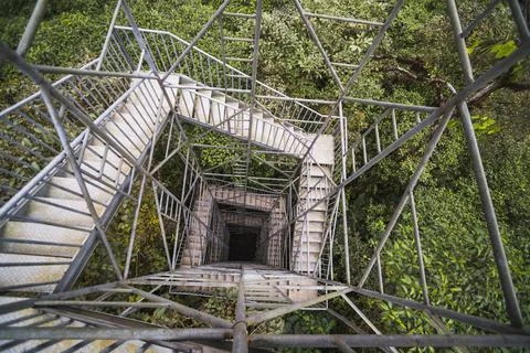 Mashpi Cloud Forest 26m tall observation tower, Choco Rainforest, Ecuador, South Stock Photos