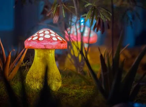 Mashroom Light Stock Photos