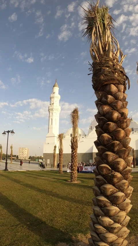 Masjid Quba View from Palm Tree Gardens Stock Footage 344060799