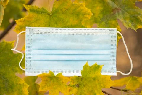 Mask and leaves on the fall background. Foto stock