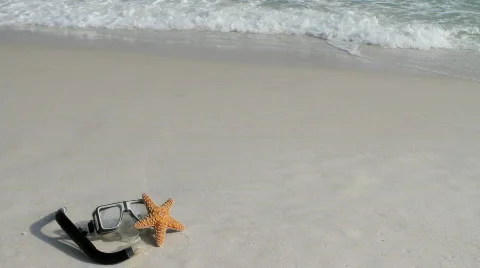 Mask And Starfish In Waves Vidéo 722429