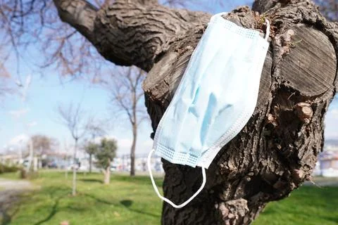 A Mask Attached to a Tree Stock Photos