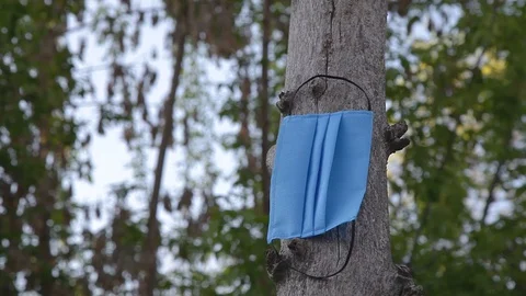 Mask from coronavirus on a dry tree Vídeo Stock 129041783
