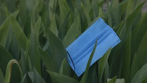 Mask from coronavirus in iris leaves Vídeo Stock 129032462
