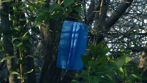 Mask from coronavirus on a lilac trunk Vídeo Stock 129053306