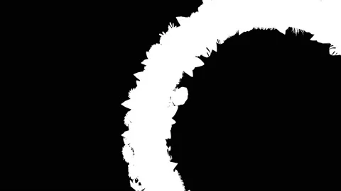 This mask file is used to create a transparent background (alpha channel) around Stock Footage 145071146