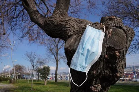 The mask hanging on the tree Stock Photos
