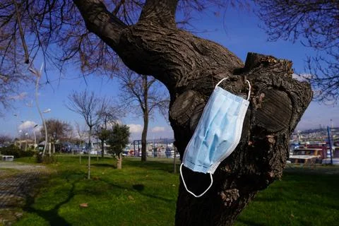 The mask hanging on the tree Stock Photos