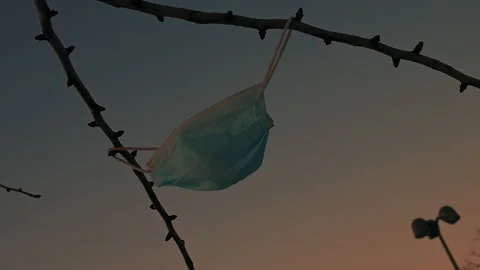 Mask hangs from a tree branch Stock Footage 151475159