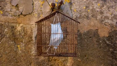 Mask inside a bird cage while hanging on an old wall. Stock Photos
