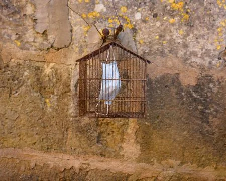 Mask inside a bird cage while hanging on an old wall. Stock Photos