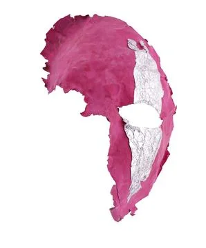 Mask made from papier mache isolate. Stock-Fotos