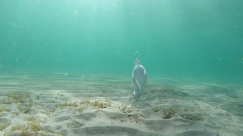 Mask Trash Stock Footage 137484966