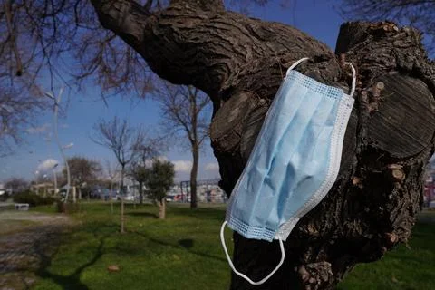 Mask on the tree Stock Photos