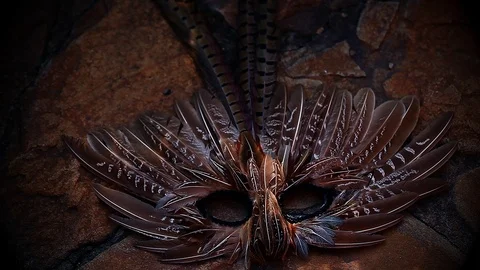 Mask Tree Shadow Stone background hd footage Stock Footage 95714372