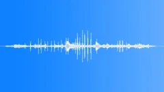 Masked Booby CU CallsSound Effect
