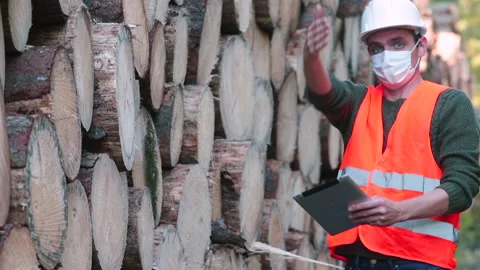 A masked factory worker controls the loading of timber for processing COVID-19  Stock Footage 139014206