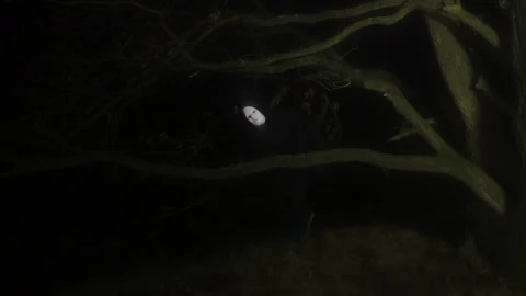 Masked Man Moving Through Dark Forest at Night Stock Footage 346407487