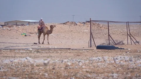 Masked man riding on camel in third world country setting Stock Footage 76936108